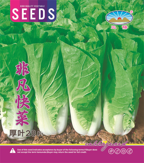 非凡快菜（15×17）