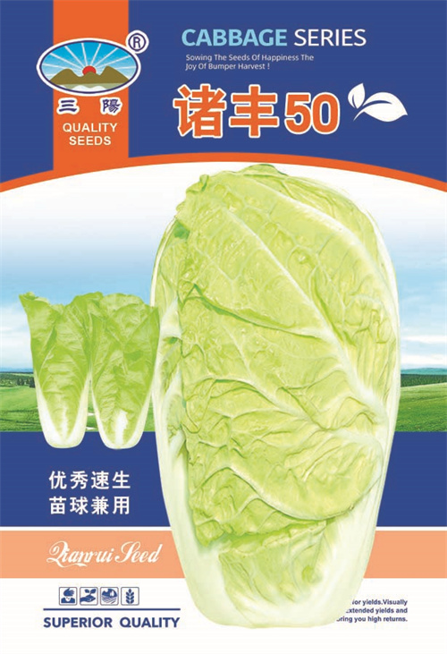 诸丰50（13×19）