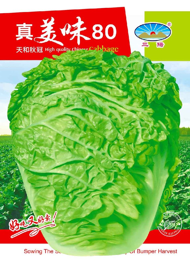 真美味80（16×22）