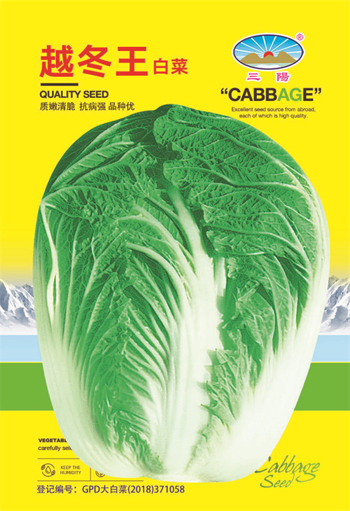 越冬王（13×19）